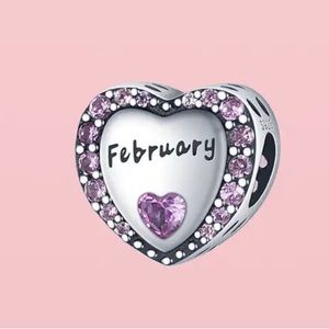 Pandora February birth stone charm